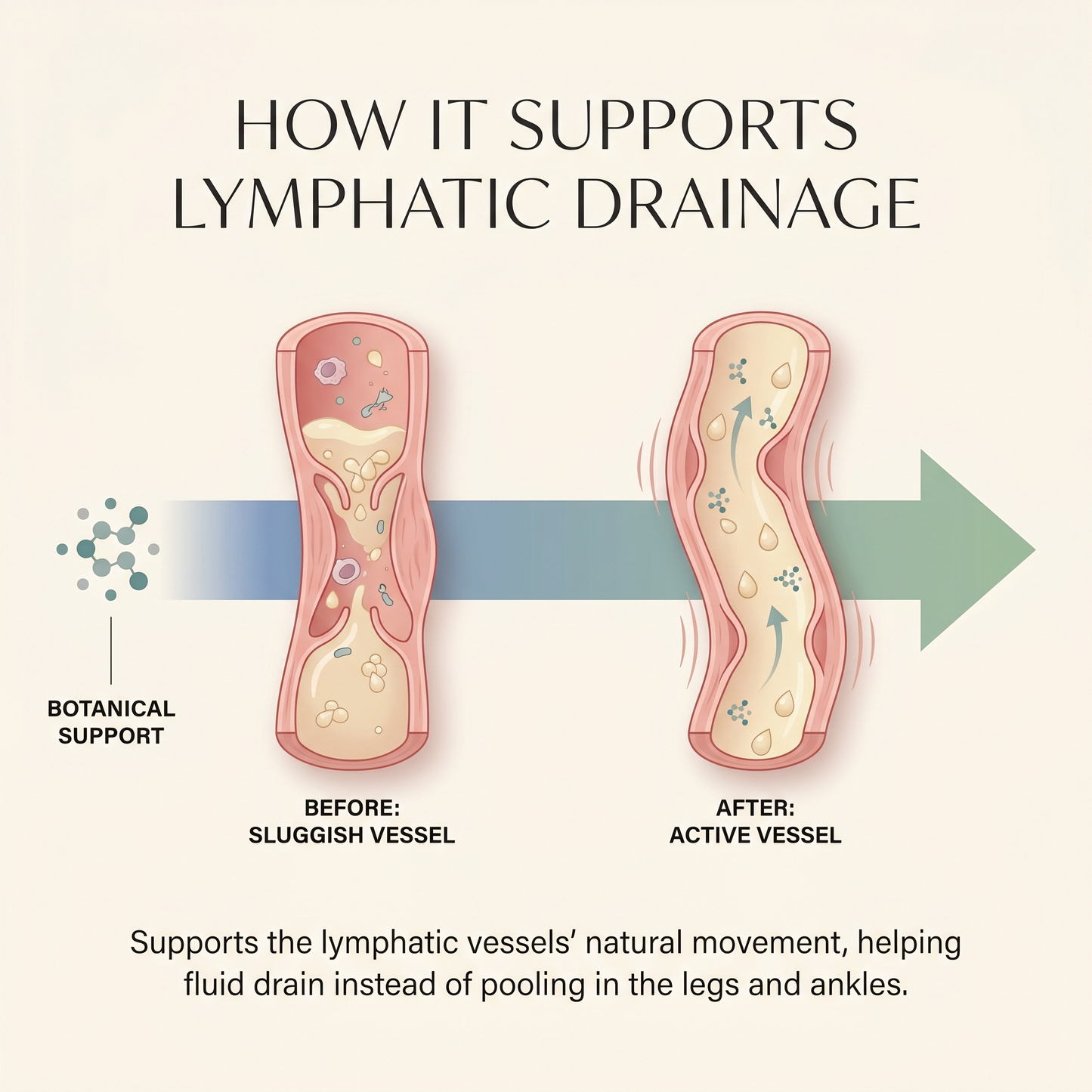 Vytal Lymphatic System Detox